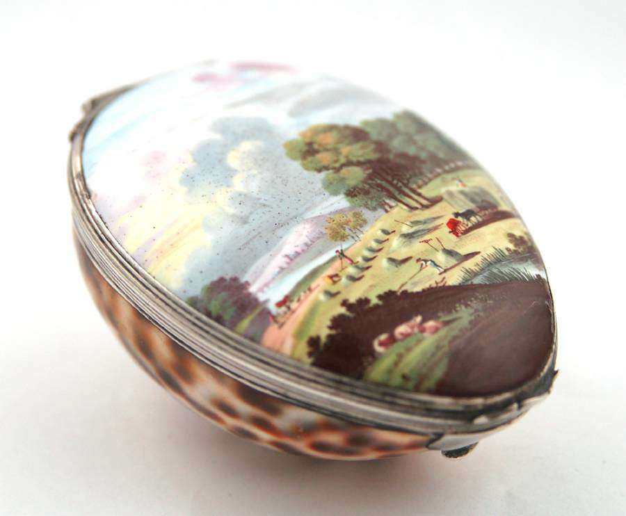 Cowrie Snuff with Enamel Lid