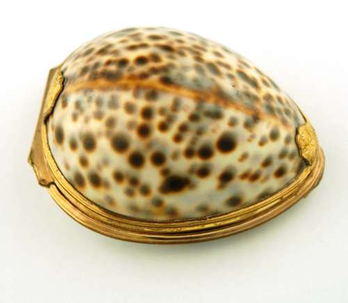 Cowrie
