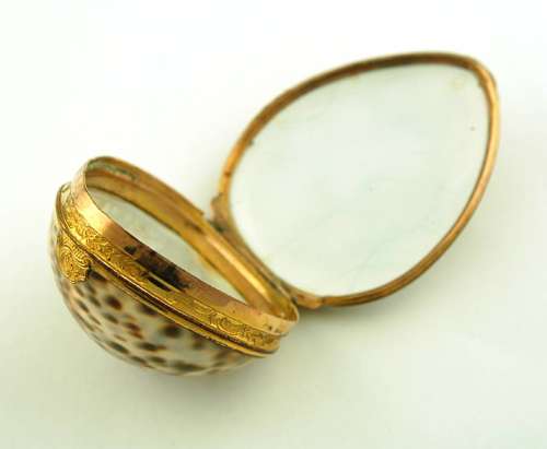 Cowrie