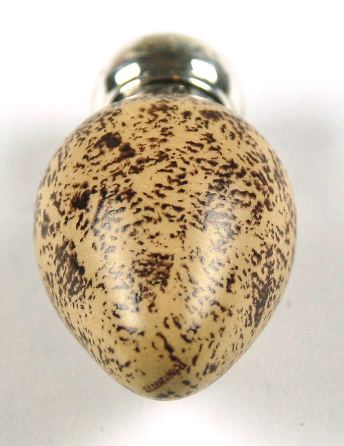Mc Intrye bird's egg scent 1885